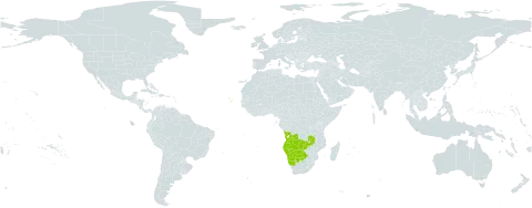 Ottelia kunenensis world distribution map, present in Angola, Botswana, Cabo Verde, Namibia, and Zambia
