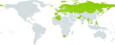 Oxalis acetosella world distribution map, present in Albania, Andorra, Austria, Belgium, Belarus, Bhutan, Switzerland, China, Czech Republic, Germany, Denmark, Algeria, Spain, Estonia, Finland, France, United Kingdom of Great Britain and Northern Ireland, Georgia, Greece, Croatia, Hungary, India, Iceland, Japan, Kazakhstan, Liberia, Liechtenstein, Lithuania, Luxembourg, Latvia, North Macedonia, Myanmar, Mongolia, Netherlands, Norway, Nepal, Pakistan, Philippines, Poland, Korea (Democratic People's Republic of), Portugal, Romania, Russian Federation, Slovakia, Slovenia, Sweden, Taiwan, Province of China, Ukraine, Viet Nam, and South Africa