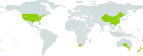 Oxalis world distribution map, present in Australia, China, New Zealand, Panama, United States of America, and South Africa