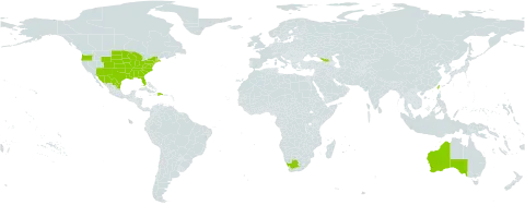 Oxalis violacea world distribution map, present in Australia, Dominican Republic, Georgia, Mexico, Puerto Rico, Taiwan, Province of China, United States of America, and South Africa