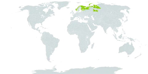 Oxytropis campestris subsp. sordida world distribution map, present in Estonia, Finland, Norway, and Russian Federation