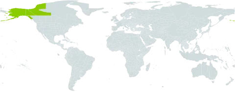 Oxytropis campestris var. roaldii world distribution map, present in Canada and United States of America