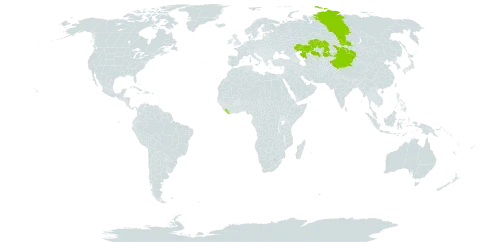 Oxytropis eriocarpa world distribution map, present in China, Kazakhstan, Liberia, Mongolia, and Russian Federation