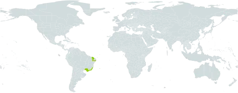 Pabstiella trifida world distribution map, present in Brazil