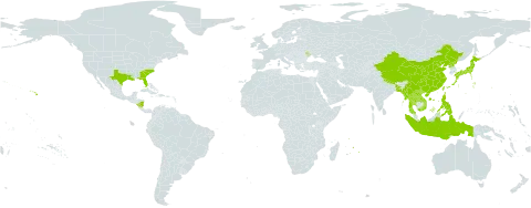 Paederia foetida world distribution map, present in Andorra, Bangladesh, China, Indonesia, Japan, Lao People's Democratic Republic, Moldova (Republic of), Myanmar, Mauritius, Nicaragua, Nepal, Philippines, Korea (Democratic People's Republic of), Réunion, Thailand, Taiwan, Province of China, United States of America, and Viet Nam