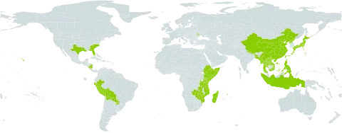 Paederia world distribution map, present in Andorra, Bangladesh, Bolivia (Plurinational State of), China, Comoros, Ethiopia, Indonesia, Japan, Kenya, Lao People's Democratic Republic, Moldova (Republic of), Madagascar, Myanmar, Mozambique, Mauritius, Nicaragua, Nepal, Peru, Philippines, Korea (Democratic People's Republic of), Paraguay, Réunion, Somalia, Thailand, Taiwan, Province of China, Tanzania, United Republic of, United States of America, Viet Nam, Zambia, and Zimbabwe