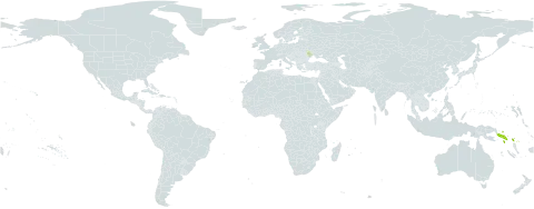 Palaquium amboinense world distribution map, present in Moldova (Republic of) and Solomon Islands