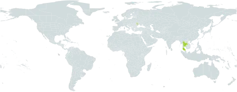 Palaquium rostratum world distribution map, present in Moldova (Republic of) and Thailand