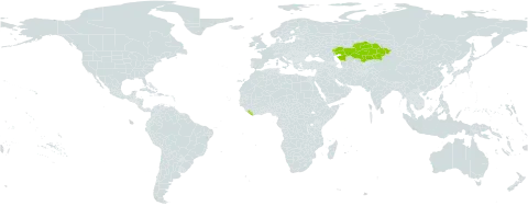 Palimbia turgaica world distribution map, present in Kazakhstan and Liberia