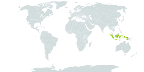 Pandanus palakkadensis world distribution map, present in Indonesia
