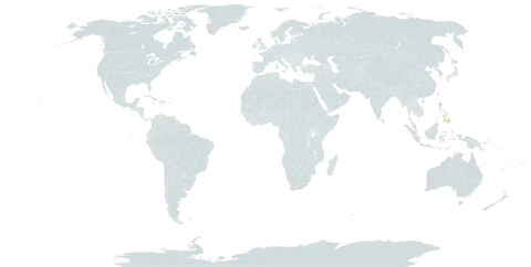 Pandanus pallidus world distribution map, present in Philippines