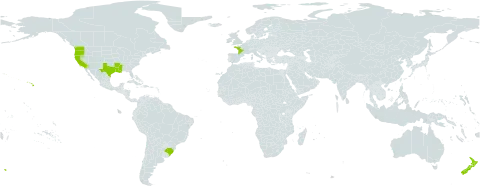 Parentucellia viscosa world distribution map, present in Brazil, France, New Zealand, and United States of America