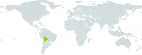 Parodiodendron world distribution map, present in Bolivia (Plurinational State of)