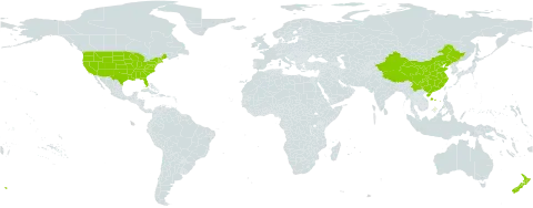Parthenocissus world distribution map, present in China, New Zealand, and United States of America