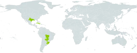 Paspalum almum world distribution map, present in Brazil, Cuba, Paraguay, Uruguay, and United States of America
