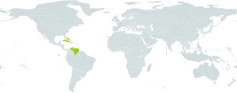 Paspalum bakeri world distribution map, present in Aruba, Bahamas, Cuba, Dominica, Haiti, Puerto Rico, and Venezuela (Bolivarian Republic of)