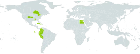Paspalum racemosum world distribution map, present in Canada, Colombia, Cuba, Dominica, Ecuador, Egypt, Haiti, Peru, and United States of America