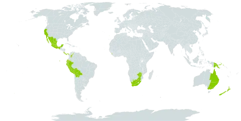 Passiflora mollissima world distribution map, present in Australia, Bolivia (Plurinational State of), Colombia, Costa Rica, Ecuador, Sri Lanka, Mexico, New Zealand, Panama, Peru, Papua New Guinea, Portugal, United States of America, Venezuela (Bolivarian Republic of), South Africa, and Zimbabwe