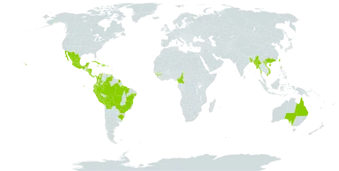 Passiflora quadrangularis world distribution map, present in Australia, Bonaire, Sint Eustatius and Saba, Bangladesh, Bahamas, Belize, Bolivia (Plurinational State of), Brazil, Barbados, China, Cameroon, Cook Islands, Colombia, Costa Rica, Cuba, Dominica, Dominican Republic, Ecuador, Fiji, Guinea, Guadeloupe, Equatorial Guinea, French Guiana, Honduras, Haiti, Jamaica, Sri Lanka, Mexico, Myanmar, Martinique, Mauritius, Nicaragua, Niue, Panama, Peru, Palau, Puerto Rico, Réunion, El Salvador, Sao Tome and Principe, Tonga, Trinidad and Tobago, Taiwan, Province of China, United States of America, Venezuela (Bolivarian Republic of), and Viet Nam