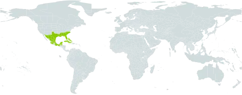 Pattalias palustris world distribution map, present in Bahamas, Belize, Cuba, Cayman Islands, Mexico, Turks and Caicos Islands, and United States of America