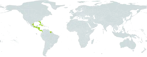 Pecluma bourgeauana world distribution map, present in Colombia, Costa Rica, Cuba, Guatemala, French Guiana, Honduras, Jamaica, Mexico, Nicaragua, Panama, Puerto Rico, Suriname, Trinidad and Tobago, and United States of America