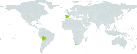 Pelargonium grandiflorum world distribution map, present in Bolivia (Plurinational State of), Spain, and South Africa