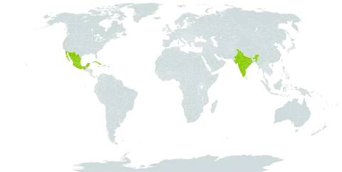 Peltophorum linnaei world distribution map, present in Barbados, Cuba, India, Jamaica, Mexico, Puerto Rico, and Singapore