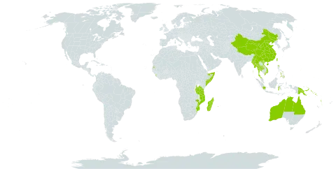 Pemphis acidula world distribution map, present in French Southern Territories, Australia, China, Fiji, Micronesia (Federated States of), Guam, Indonesia, India, Kiribati, Sri Lanka, Madagascar, Maldives, Marshall Islands, Myanmar, Northern Mariana Islands, Mozambique, Mauritius, Mayotte, Niue, Philippines, Palau, Papua New Guinea, Réunion, Singapore, Solomon Islands, Somalia, Seychelles, Thailand, Tokelau, Tonga, Tuvalu, Taiwan, Province of China, Tanzania, United Republic of, United States Minor Outlying Islands, United States of America, Viet Nam, Vanuatu, and Samoa