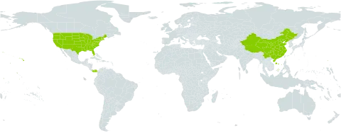 Pennisetum world distribution map, present in China, Panama, and United States of America