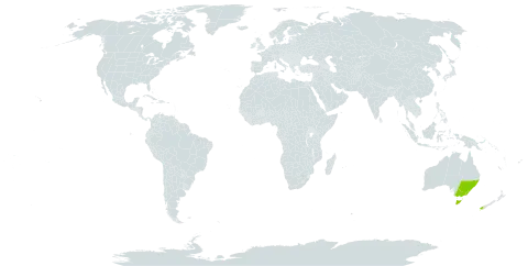 Pentachondra pumila world distribution map, present in Australia and New Zealand