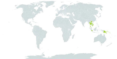 Pentaspadon world distribution map, present in Indonesia, Iceland, Papua New Guinea, Solomon Islands, Thailand, and Viet Nam