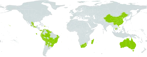 Peperomia blanda world distribution map, present in Argentina, Australia, Bolivia (Plurinational State of), Brazil, China, Colombia, Dominican Republic, Ecuador, Guyana, Jamaica, Cambodia, Madagascar, Mexico, Panama, Peru, Paraguay, Suriname, Trinidad and Tobago, United States of America, Venezuela (Bolivarian Republic of), and South Africa