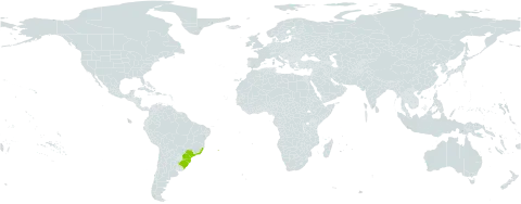 Peperomia clivicola world distribution map, present in Brazil