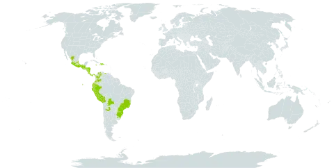 Peperomia hispidula world distribution map, present in Argentina, Bolivia (Plurinational State of), Brazil, Colombia, Costa Rica, Dominican Republic, Ecuador, Guatemala, Honduras, Haiti, Jamaica, Mexico, Nicaragua, Panama, Peru, Uruguay, and Venezuela (Bolivarian Republic of)