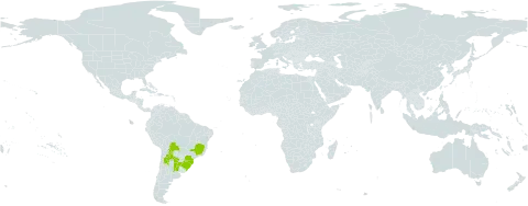 Peperomia increscens world distribution map, present in Argentina, Bolivia (Plurinational State of), Brazil, Paraguay, and Uruguay