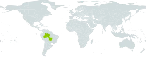 Peperomia tenuilimba world distribution map, present in Brazil