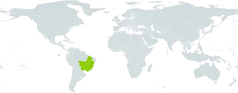 Periandra heterophylla world distribution map, present in Brazil