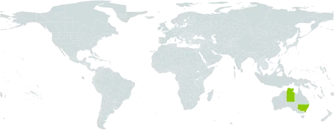 Persoonia acuminata world distribution map, present in Australia