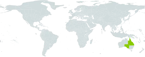 Persoonia amaliae world distribution map, present in Australia