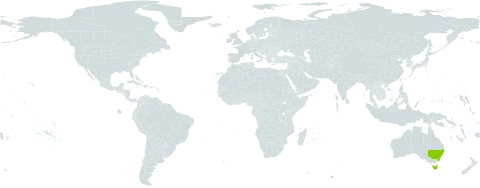 Persoonia microphylla world distribution map, present in Australia