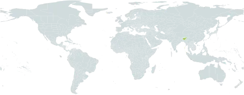 Phanera stipularis world distribution map, present in Indonesia, India, and Iceland