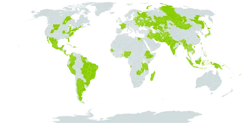 Phaseolus vulgaris world distribution map, present in Afghanistan, Angola, Argentina, Armenia, American Samoa, Azerbaijan, Bonaire, Sint Eustatius and Saba, Belarus, Brazil, Bhutan, Canada, China, Colombia, Costa Rica, Dominican Republic, Ecuador, Egypt, Estonia, Ethiopia, Fiji, France, Ghana, Guatemala, French Guiana, Guyana, Haiti, Indonesia, India, Iran (Islamic Republic of), Iraq, Japan, Kazakhstan, Kenya, Lao People's Democratic Republic, Sri Lanka, Lithuania, Latvia, Moldova (Republic of), Madagascar, Mexico, Myanmar, Mongolia, Northern Mariana Islands, Mauritius, Nigeria, Nicaragua, Niue, Nepal, Pakistan, Panama, Peru, Philippines, Papua New Guinea, Réunion, Russian Federation, Rwanda, Senegal, Singapore, El Salvador, Suriname, Seychelles, Togo, Thailand, Tajikistan, Turkmenistan, Taiwan, Province of China, Tanzania, United Republic of, Uganda, Ukraine, United States Minor Outlying Islands, United States of America, Uzbekistan, Viet Nam, and Zambia