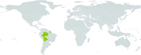 Philodendron angustisectum world distribution map, present in Bolivia (Plurinational State of) and Brazil