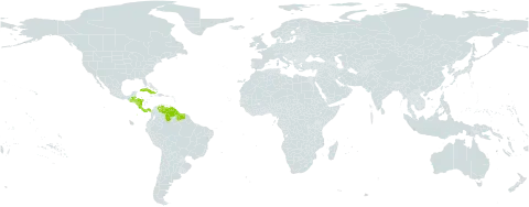 Philodendron jacquinii world distribution map, present in Belize, Costa Rica, Cuba, Cayman Islands, Guatemala, Guyana, Honduras, Nicaragua, Panama, Suriname, and Venezuela (Bolivarian Republic of)