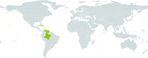 Philodendron pinnatifidum world distribution map, present in Brazil, Cuba, United States of America, and Venezuela (Bolivarian Republic of)