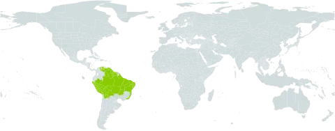 Philodendron quinquenervium world distribution map, present in Bolivia (Plurinational State of), Brazil, Guyana, Peru, Suriname, and Venezuela (Bolivarian Republic of)