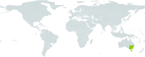Philotheca virgata world distribution map, present in Australia