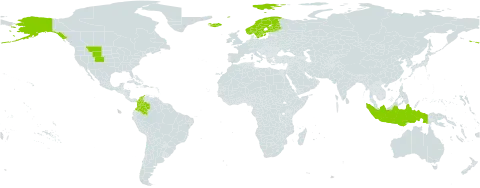 Phippsia world distribution map, present in Colombia, Finland, Indonesia, Iceland, Norway, Svalbard and Jan Mayen, Sweden, and United States of America