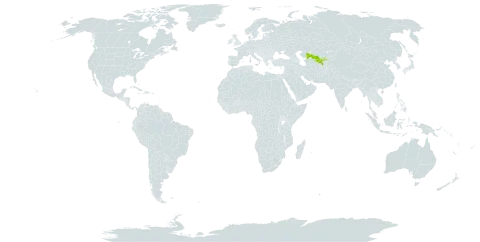 Phlomis zenaidae world distribution map, present in Uzbekistan