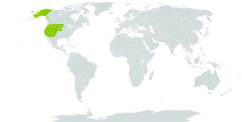 Phlox hoodii world distribution map, present in United States of America